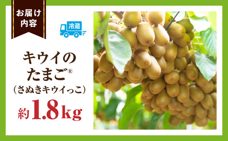 キウイフルーツ【キウイのたまごR】(キウイっこ)　約1.8kg | キウイ フルーツ 果物 旬 旬の果物 キウイフルーツ デザート 生鮮食品 贈り物 贈答 お裾分け おすすめ 人気 ギフト グルメ 特産品 果肉 季節 季節の果物 香川県 三木町 |_mk165-008