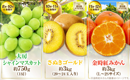 さぬき旬のフルーツ大満足　6回定期便|果物 果物定期便 定期便 フルーツ フルーツ定期便 シャインマスカット ゴールドキウイ いちご 旬 旬の果物 旬の果物定期便 キウイ 贈答 贈り物 デザート スイーツ 果肉 果汁 香川県 三木町 送料無料|_mk006-t011