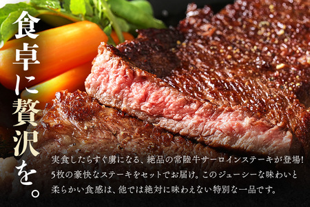 茨城県産銘柄黒毛和牛 常陸牛 サーロインステーキ 330g×5枚 計1.65kg 国産 和牛 牛 牛肉 ブランド牛 A4 肉厚 ジューシー 冷凍 贈答用 ギフト ステーキ用 赤身 霜降り 茨城県 潮来市 【茨城県共通返礼品（茨城県産）】(A12-001)