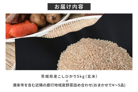 ＜玄米 5kg＞『身体が喜ぶ野菜とお米』詰め合わせ おまかせセット 茨城県産 コシヒカリ 米 お米 ご飯 ごはん 栽培期間中農薬不使用 季節の野菜 セット 微生物農法 EM農法 有機栽培 産地直送 新鮮 家庭用 潮来はぐくみのもり 茨城県 潮来市 (A03-003)