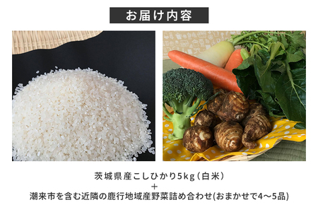 ＜白米 5kg＞『身体が喜ぶ野菜とお米』詰め合わせ おまかせセット 茨城県産 コシヒカリ 米 お米 ご飯 ごはん 栽培期間中農薬不使用 季節の野菜 セット 微生物農法 EM農法 有機栽培 産地直送 新鮮 家庭用 潮来はぐくみのもり 茨城県 潮来市 (A03-004)