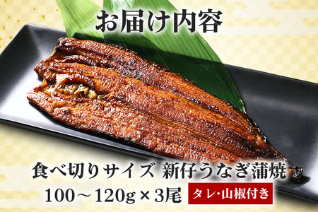 やわらか国内産 うなぎ蒲焼 食べ切りサイズ! 100～120g 3尾 計300g以上 ふっくら蒲焼き ブランド鰻使用 秘伝のタレ・山椒付き 湯煎で簡単調理 うな丼 ちらし寿司 贈答用 ギフト 冷蔵配送 国産 茨城県 潮来市 (A23-009)