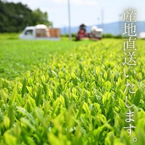 沼津産 中級煎茶 茶葉 100g 1袋 