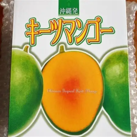 伊平屋産の幻のキーツマンゴー約1kg(1～2玉)【1497062】