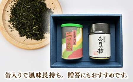ますぶち園の上級白川茶 2種セット 詰め合わせ 100g×2本 缶入り お茶 白川茶 茶葉 ギフト 白川町 / ますぶち園[AWAC003]