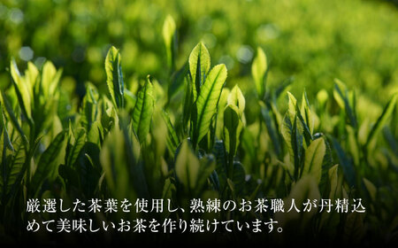 【6回定期便】本格 高級茶セット 100g×3袋 化粧箱入り お茶 煎茶 白川茶 茶葉 ギフト 白川町 / 菊之園[AWAG010]
