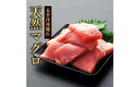 天然マグロ切り落とし2kg×訳あり鰹のタタキ3kg