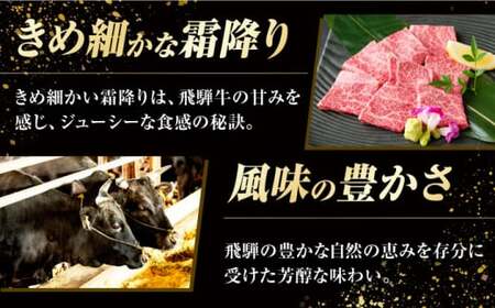 飛騨牛 【冷凍配送】焼肉用赤身【600g】 飛騨牛 白川町 浅井商店[AWBJ001]
