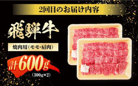 【3回定期便】 飛騨牛 モモ・肩肉 毎月600g / 白川町 / 浅井商店[AWBJ008]