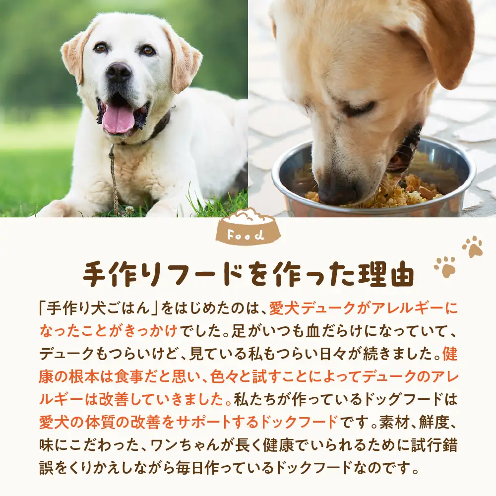 鶏肉のおじや　150g×3袋入