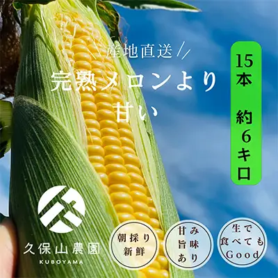 【完熟メロンのように甘い】朝採り!スイートコーン　約6kg【贈答用にもオススメ】【スイートコーン 甘い コーン 野菜 やさい とうもろこしトウモロコシ 福岡県 筑前町】