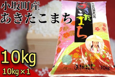 小坂の恵み あきたこまち 10kg（10kg×1袋）【白米】お米 あきたこまち 秋田県 小坂町