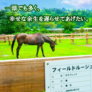 【 支援 】 支援引退馬2千円