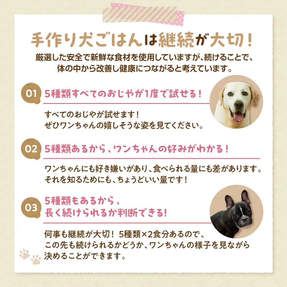 ワンちゃん用おじや5日間セット【各150g×2袋(計10袋)】