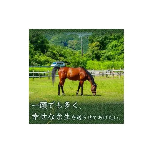【 支援 】 支援引退馬5千円