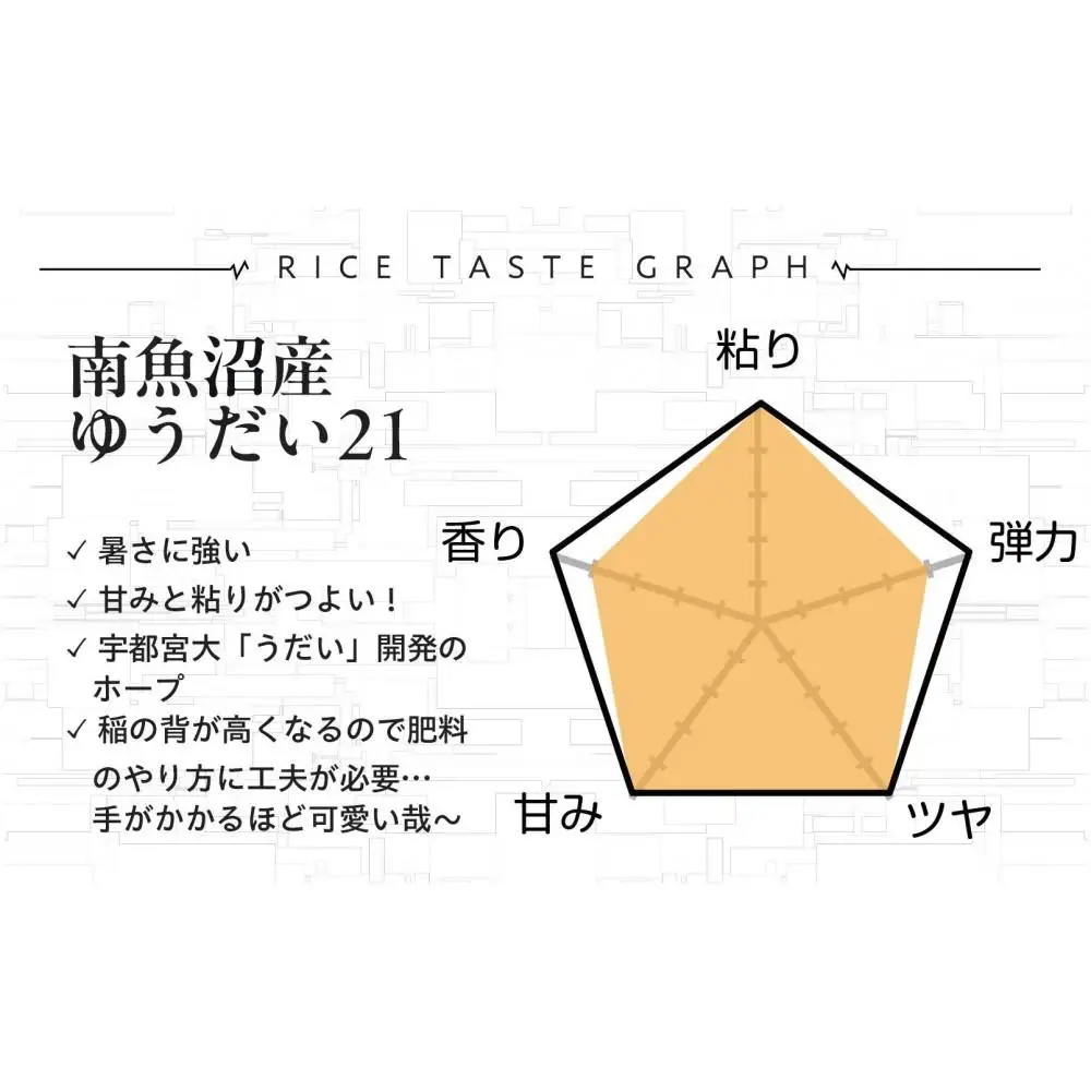【令和8年産新米予約】精米10kg 南魚沼産ゆうだい21（5kg×２袋）・農家直送_AG【銘柄米 ブランド米 精米 ゆうだい21 魚沼産 新潟米 産地直送 お米 米 こめ コメ ごはん】【令和8年10月中旬から1ヶ月以内に順次発送予定】