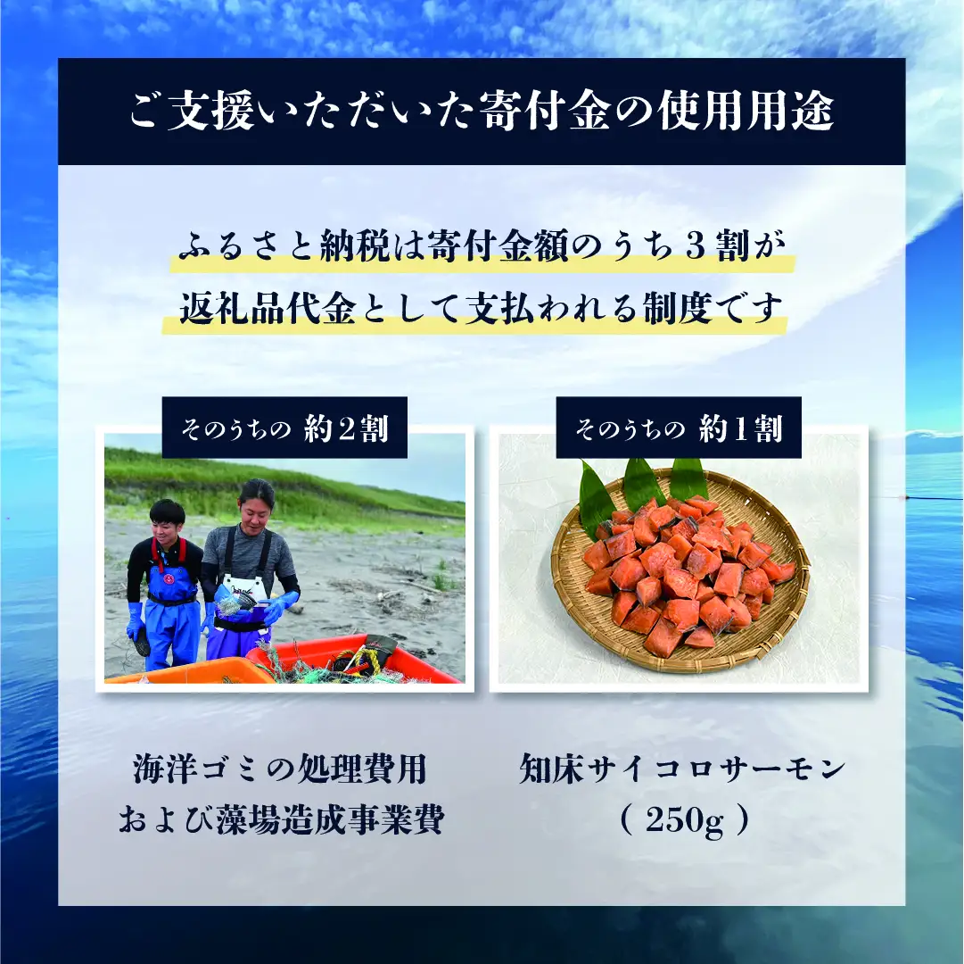 【先行受付】【海洋保全活動への支援】サイコロサーモンのお礼品付き。知床の鮭漁師が海を守り、次世代につなげます。