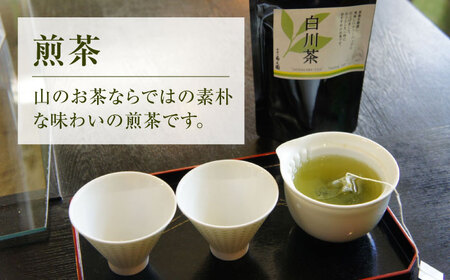 【選べるティーバッグ】　「煎茶」「和紅茶」 計5袋セット お茶 紅茶 国産 白川町 / 菊之園[AWAG007]