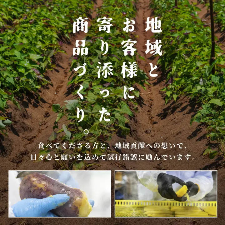 干し芋 120g×3袋 干し芋【株式会社橋本】