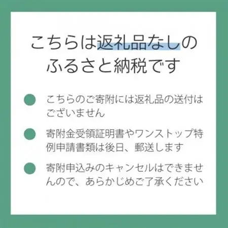【返礼品なし】山梨県山梨市への応援寄附金(1口10,000円)