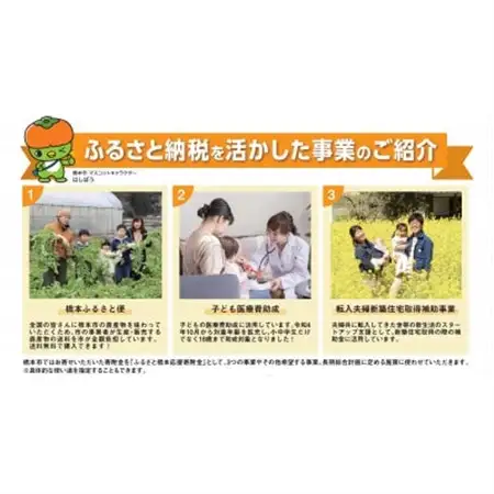 【返礼品なし】和歌山県橋本市への応援寄附金(50,000円分)
