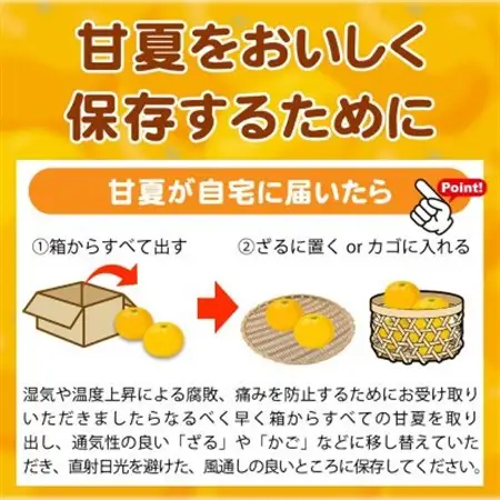 【ご家庭用訳あり】紀州有田産　すっきり爽やか　甘夏みかん　8kg【配送不可地域：離島】【1603672】