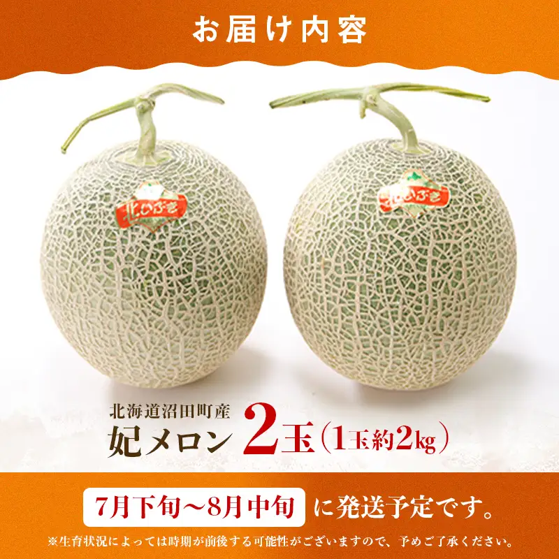 【先行予約】令和8年産 妃メロン 赤肉 大玉 2玉（令和8年7月下旬～8月中旬発送予定） 北海道 n-0189