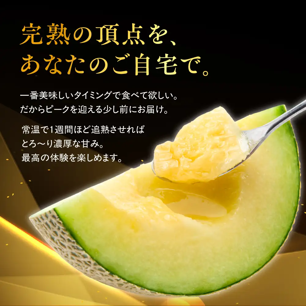 【先行予約】アールスメロン 2玉 メロン JA愛知みなみ