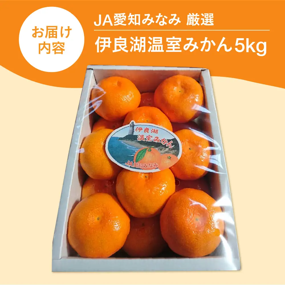 【先行予約】伊良湖 温室みかん 5kg みかん フルーツ