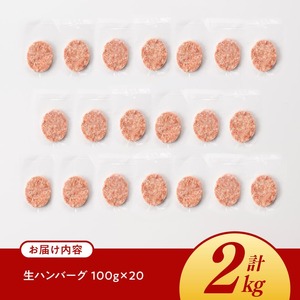 宮崎県産豚肉「まるみ豚」生ハンバーグセット計2kg（100g×20個）お手軽 真空パック 豚肉					