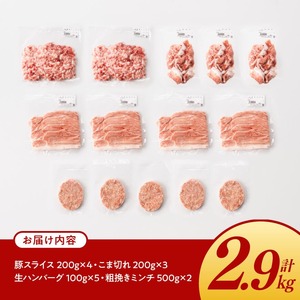宮崎県産豚肉「まるみ豚」肉肉セット計2.9kg 豚肉