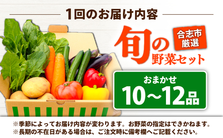 【年10回コース定期便】合志の旬のお野菜10?12品目 野菜定期便[AYAB013]