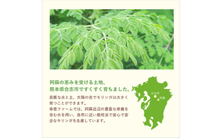 幸恵ファーム モリンガなめらかパウダーセット 10個入 モリンガ[AYAB062]