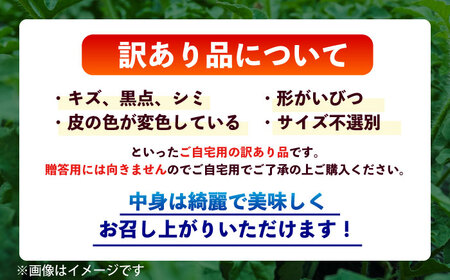 数量限定 訳あり大玉スイカ1玉約6~9kg 家庭用スイカすいか規格外 AYAT007