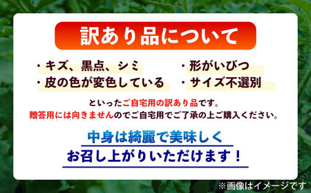【2026年5月より発送 数量限定】訳あり 小玉すいか 2玉 約2kg?3kg スイカ [AYAT009]