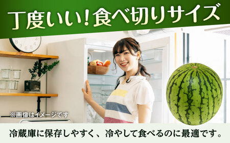 【2026年5月より発送 数量限定】小玉スイカ 1箱 約8kg すいか[AYAU003]