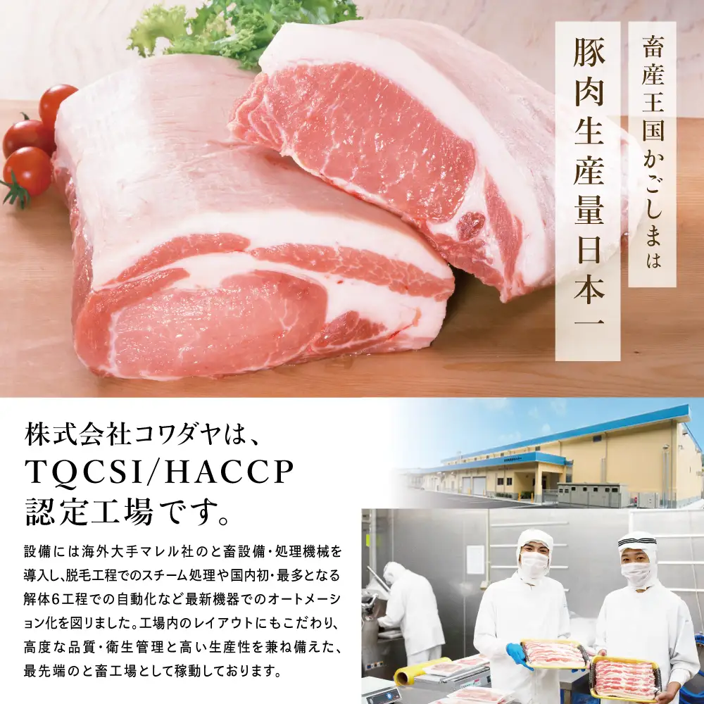 【定期便：3ヶ月連続】鹿児島産 豚肉3種類セット 1.6kg×3回（合計4.8kg） 国産 鹿児島県産 豚肉 お取り寄せ かごしま グルメ 鍋 送料無料 鹿児島県 南さつま市 株式会社コワダヤ