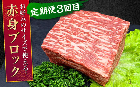 【全3回定期便】 熊本県産 A5等級 黒毛和牛 和王 食べ比べ 牛肉 和牛 国産 [AYCH055]