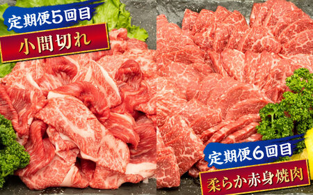 【全6回定期便】 熊本県産 A5等級 黒毛和牛 和王 食べ比べ 牛肉 和牛 国産 [AYCH057]