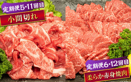 【全12回定期便】 熊本県産 A5等級 黒毛和牛 和王 食べ比べ 牛肉 和牛 国産 [AYCH058]