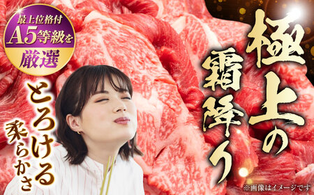 【訳あり】熊本県産 A5等級 黒毛和牛 和王 赤身肉 小間切れ 約400g×2P 計約800g 牛肉小間切れ[AYCH071]