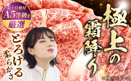 熊本県産 A5等級 黒毛和牛 和王 肩ロース・うでスライスセット 計約1kg 牛肉スライス [AYCH076]