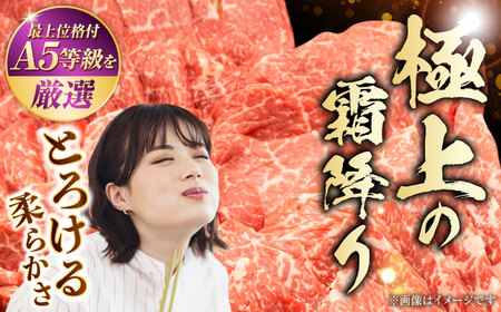 A5等級 黒毛和牛 柔らか赤身焼肉 約300g×4P 計約1.2kg 焼肉 [AYCH095]