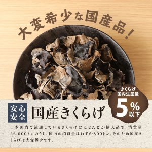 富士山の大自然が育てた「ふじやま きくらげ」(生きくらげ200g×2、乾燥きくらげ50g×2) 