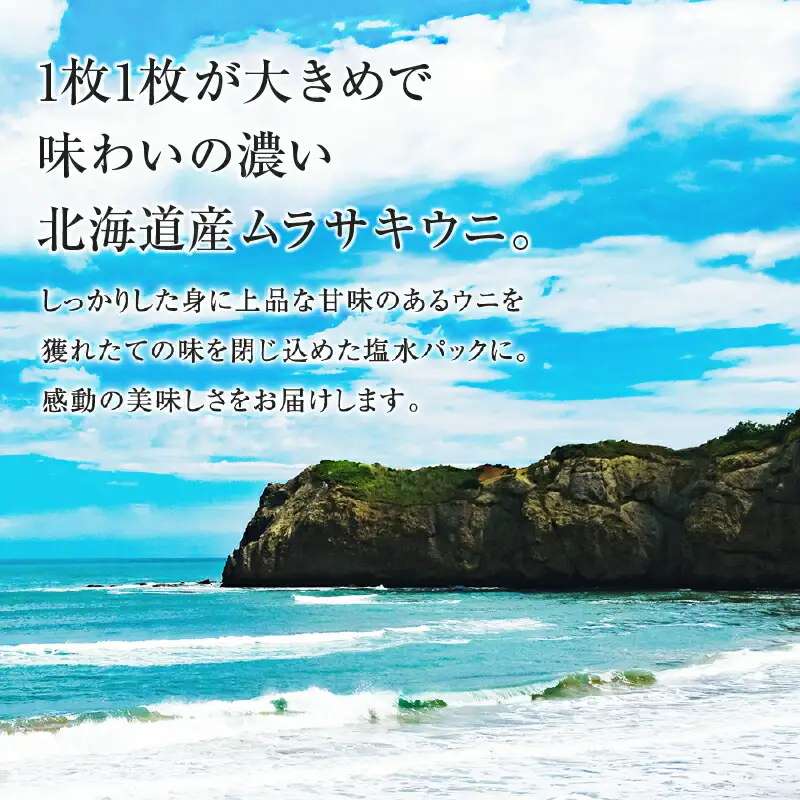 北海道産　世壱屋塩水ウニ（バフンウニ）400g_Y038-0147