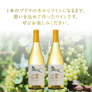 淡路結 シャルドネ 2023 2本セット  ワイン 白ワイン 淡路結 シャルドネ 2023 750ml 2本 白 国産ワイン 山梨県産 北杜市産 白州圃場 柑橘フルーツ アカシア 蜂蜜 ブドウ 記念日 贈り物 プレゼント [h135]