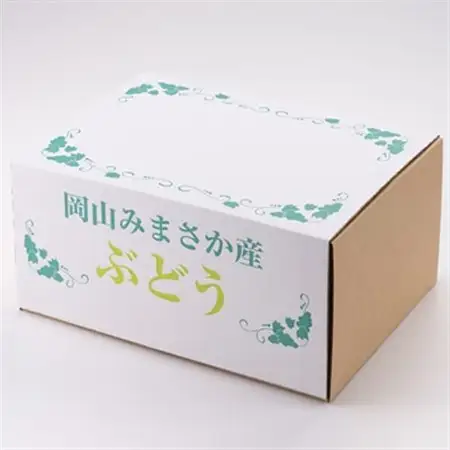 シャインマスカット 2kg 岡山県産フルーツ　3房～4房_果物・フルーツ ぶどう・マスカット  ブドウ 葡萄 _【配送不可地域：離島】【1609174】