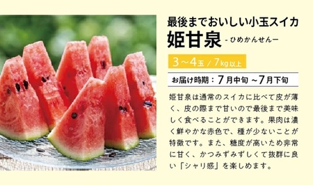 SE0504　【3回定期便】自然の恵み　春・夏フルーツ定期便2026(いちご、青肉メロン、小玉スイカ)