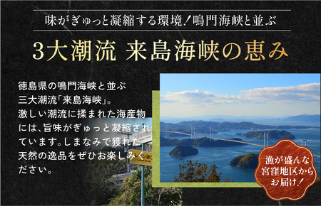 今治産しまなみひじき 1袋 [V002510] 