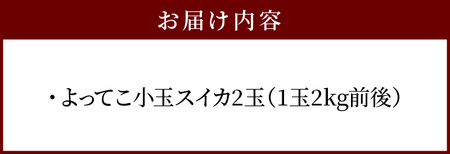 よってこ小玉すいか2玉 　先行予約 ピノガール よってこファーム フルーツ デザート 果物  DG-0004